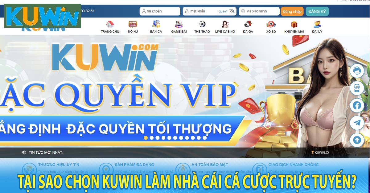 Tại sao chọn Kuwin làm nhà cái cá cược trực tuyến?